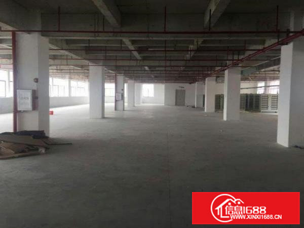 大朗象山工业城原房东可分租楼上三楼1000方13元，带装修