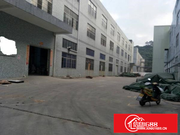 横沥独院三层厂房5000平米，宿舍按需配