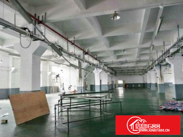 工业区1楼4300方，带牛腿，园区管理，交通方便，形象好。