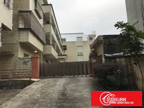 虎门镇新出原房东厂房实际面积16元一平米速抢，速抢