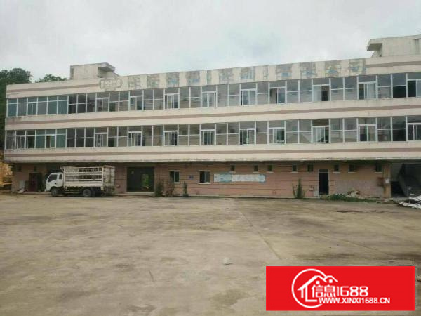 惠阳新圩新出独门独院7500平米平价出租