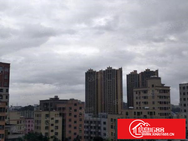 观澜福民悦兴围新出550平方带装修