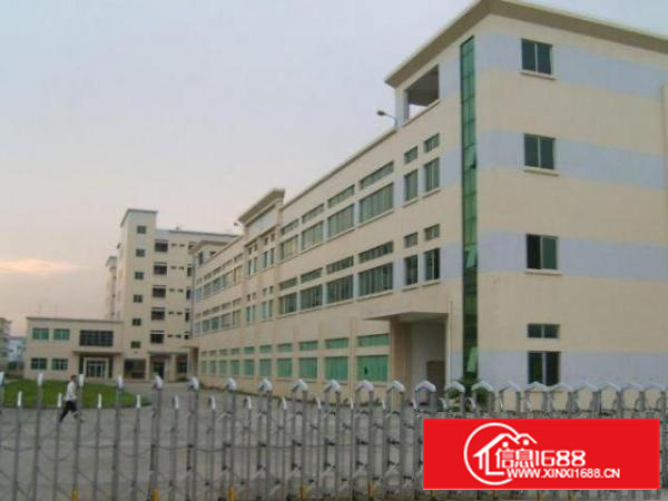 万江万江中心区一楼2000方交通方便厂房出租招租