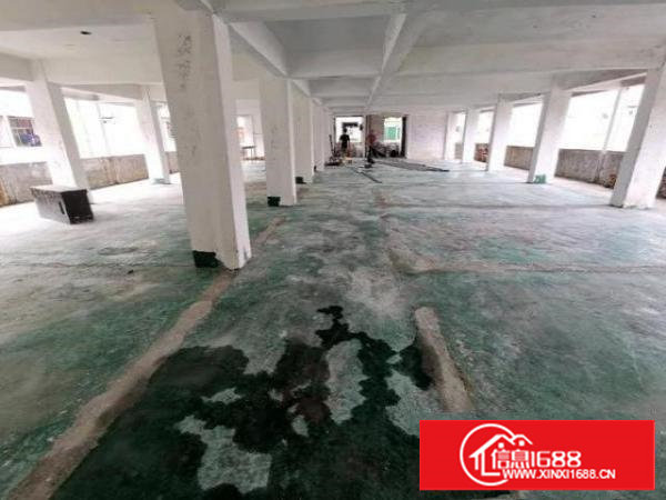 樟木头柏地厂房招租500平方，12.4元/平，带全新电梯