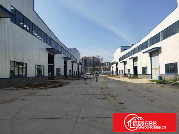 常平全新原房东独院1300平钢构，滴水9米工业用地带装修