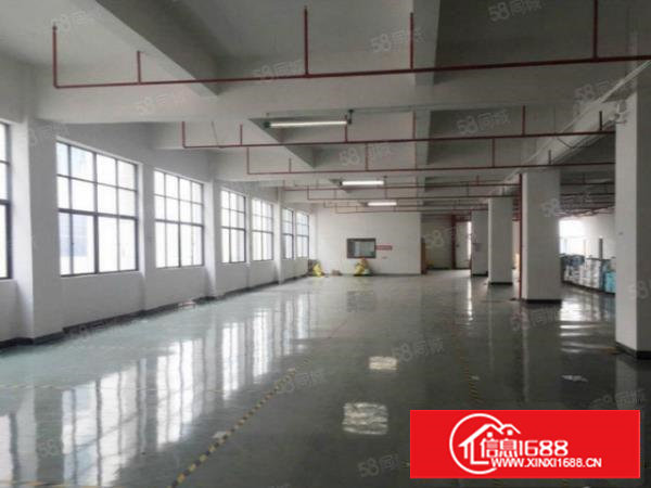 塘厦桥陇刚空出5000平标准独院厂房,现成装修主线,价格美丽