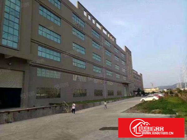 清溪新出原房东全新独院厂房15000平方低价急租