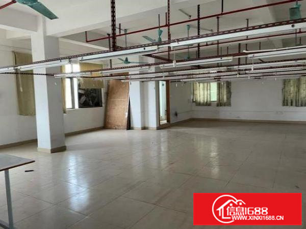 茶山南社，业主直租，有宿舍楼，可改建写字楼