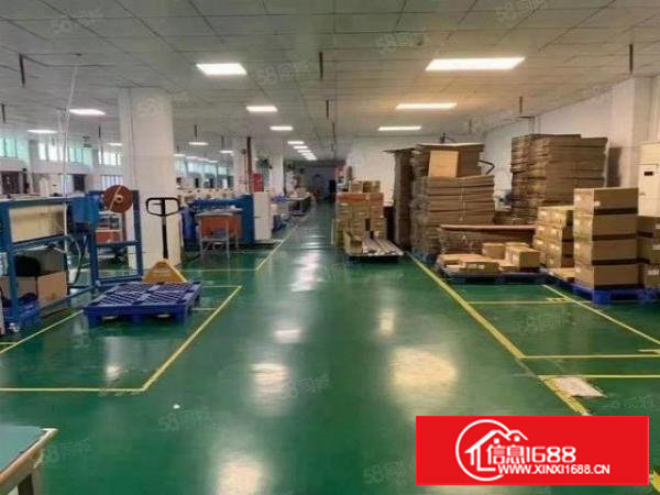 塘厦科苑城科技园新出1000平吊顶装修厂房，无转让费，面积实