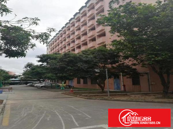 布吉丹竹头一楼6800平米仓库出租大小分租层高8米