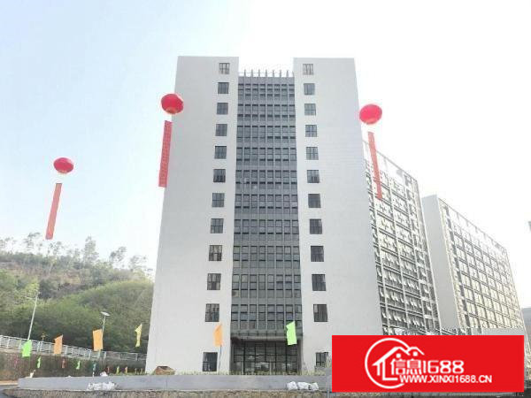 出租龙岗区坪地高桥社区全新红本厂房