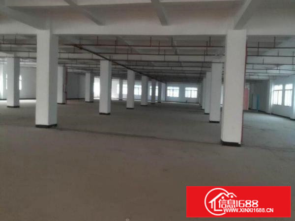 原房东标准厂房三楼四楼1000平-2000平出租可分租