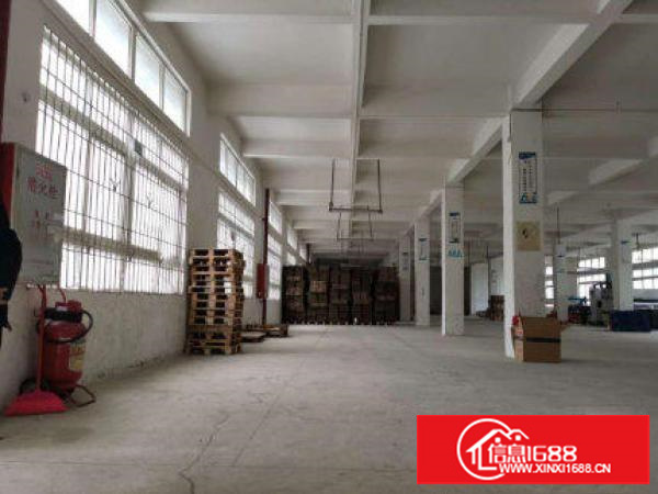 2楼600平2间玻璃办公室合同可签5年