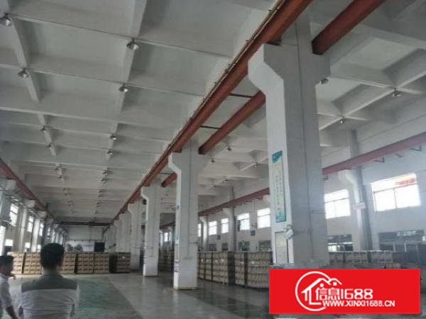 桥头镇原房东钢构独院厂房出租厂房3600平方