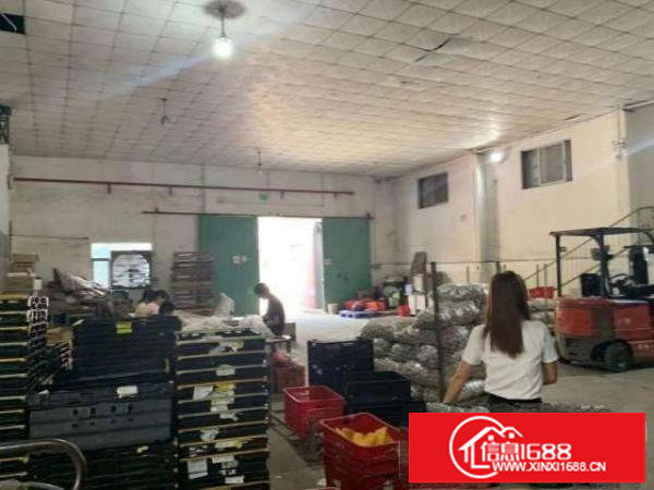 平湖白泥坑,良安田一楼300平方带120平方冷库出租