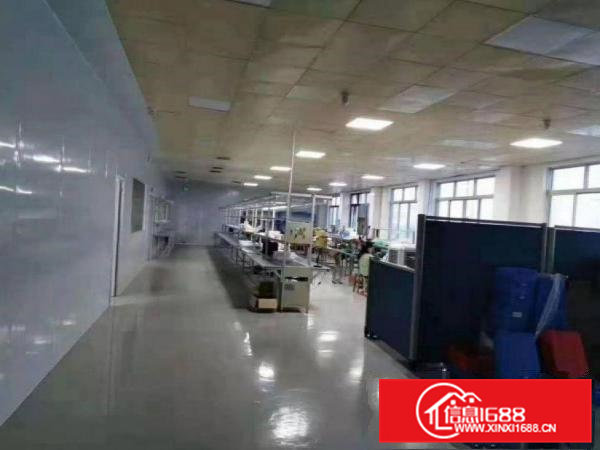 石厦工业区出租新空出一楼1250平方带装修办公室厂房