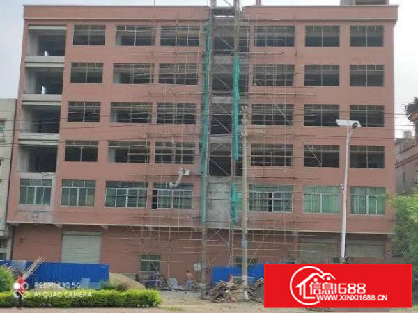 房东直租，自建房6层，可整租，也可分层