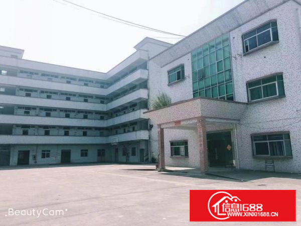 塘厦大坪科苑城村委独门独院5700平厂房，无喝茶费，可分组