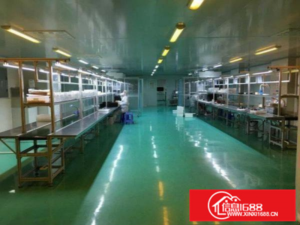 惠州龙溪万级无尘车间厂房1400平出租水电齐全设备完善