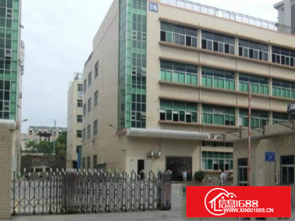 大朗镇大型工业园新出一楼2000平，带精装修办公室