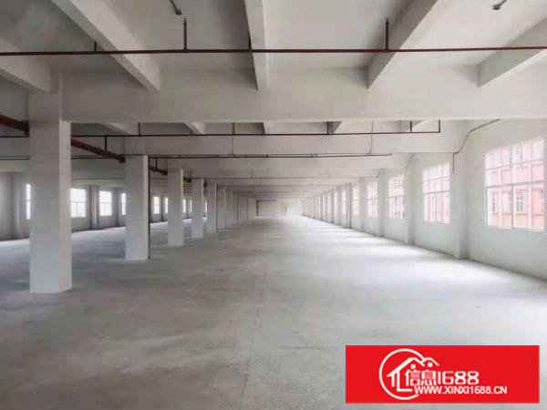 欧邓红本带航车厂房出租两栋可分租800平方