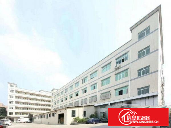 出租白沙3村福新路3号1楼厂房