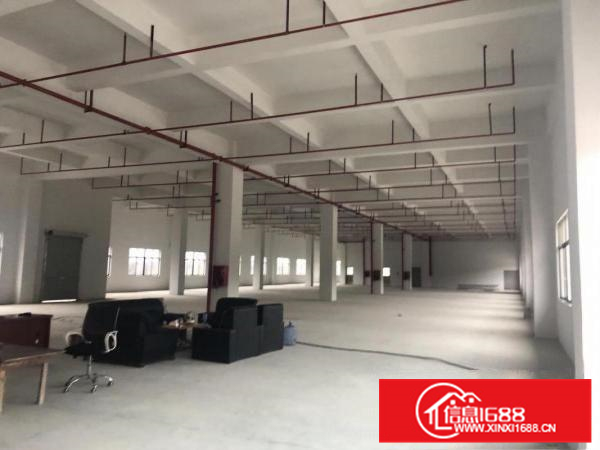 惠东白花谟岭5楼2388平米1楼790平米出租