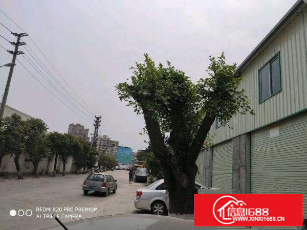 虎门镇沙角村凤凰路临街厂房店面1200平方米招租