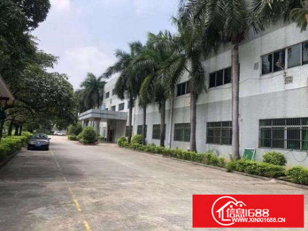 松岗新出原房东花园式独院厂房4000平