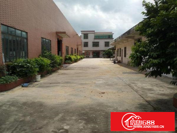 平湖独门独院单一层1200平砖墙到顶厂房可分可整