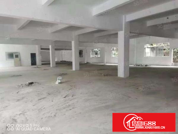 凤岗新出独院10000平方可分租价格优惠