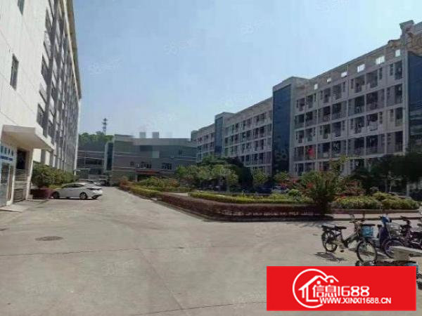 20元平凤岗雁田38000平厂房出租，100平起，一楼仓库