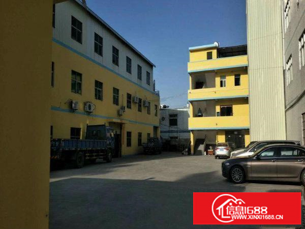 坪山碧岭新出独院可大小分租出租