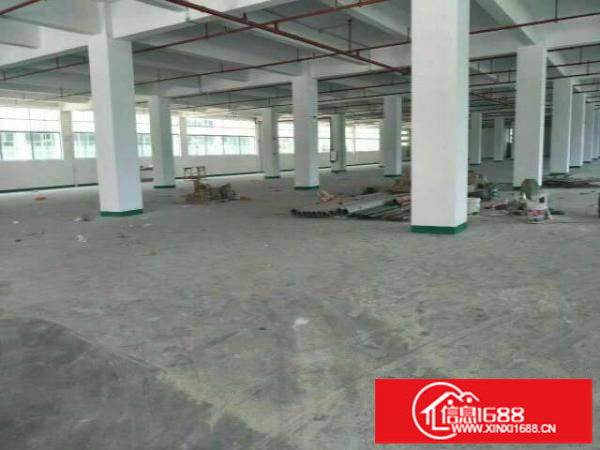 龙岗坪地2000平带精装修厂房大小分租