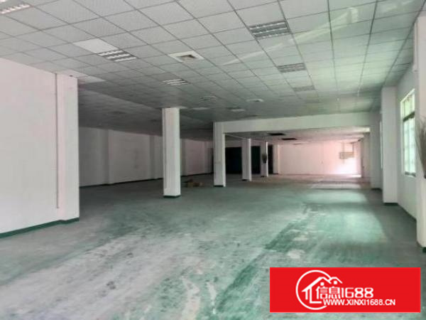 石碣环评路外工业园区分租