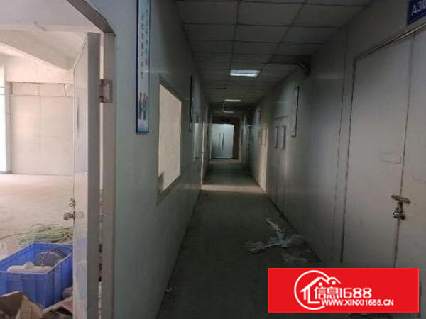 新出沙头时代广场附近100平厂房出租