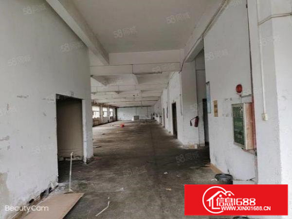 雁田新出空地超大独院厂房，紧挨天安数码城