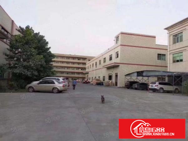 清溪浮岗新出原房东一楼460平方带水电办公急租