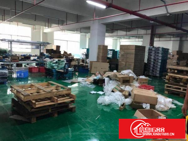 精装修刷地坪漆厂房出租凤岗金凤凰楼上1600平