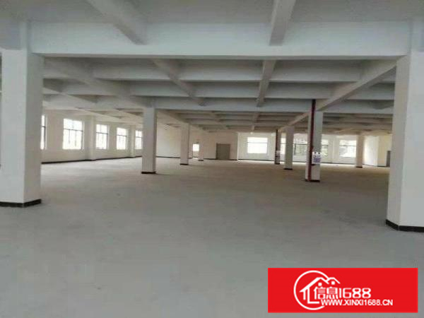 园洲标准厂房8000平，可整租可分租