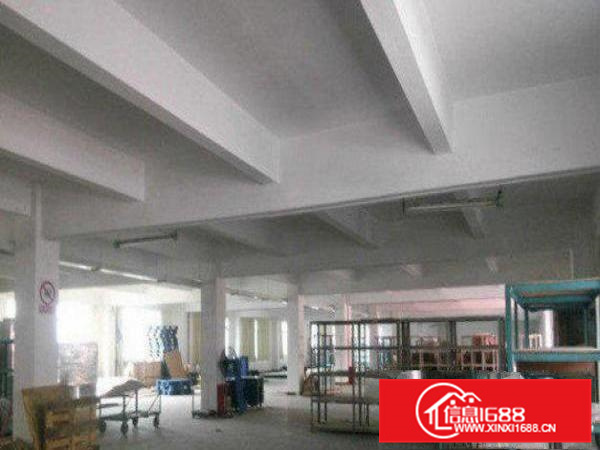 出租惠阳镇隆标准一楼厂房800平方