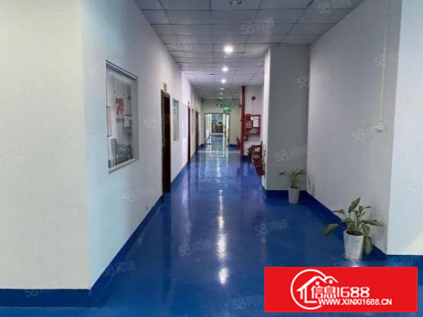 出租|观澜新田清平高速口楼上300平方厂房出租大小可分租