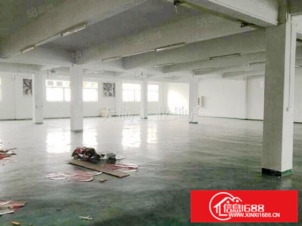 （出租）厂房陈村独院首层水泥结构仓库加工生产