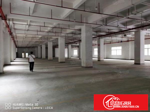 大浪一楼1745平原房东厂房招租