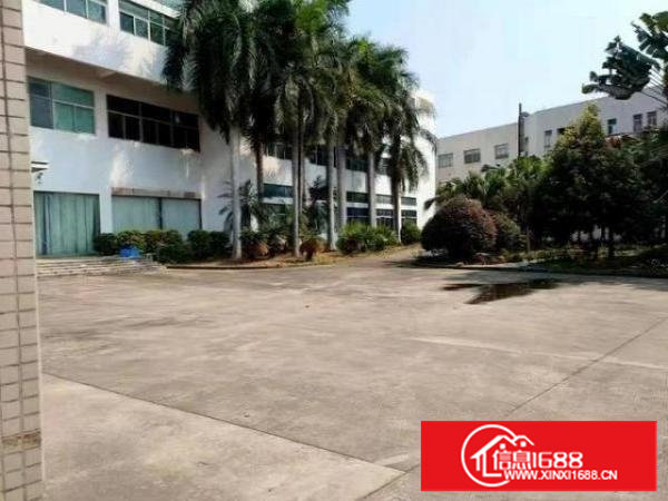 新出厦岗楼上，带装修厂房