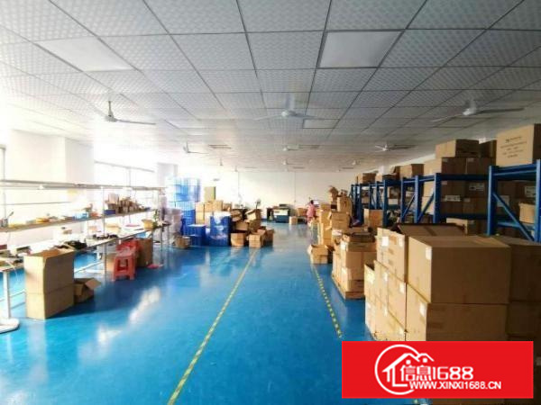 仲恺潼湖标准厂房楼上空出1300平方，带装修办公室！