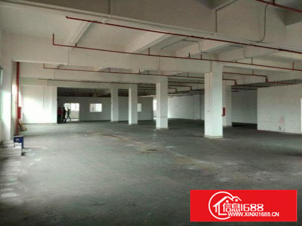 塘厦田心广场旁新出二楼、带消防喷淋厂房2000平米