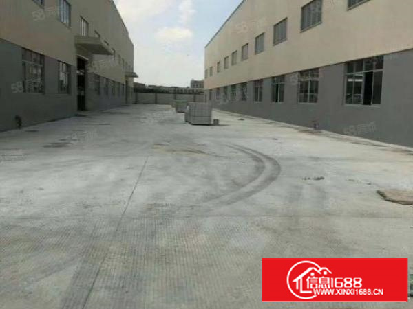 石排邻镇3.5万平滴水11米单层全新钢构20元出租，可分租