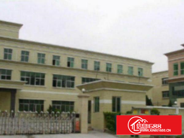 万江标准1800或1000㎡出租(配套齐全工业区环境好