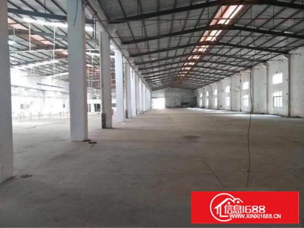 塘厦大坪实际面积独栋单一层钢构2500平方